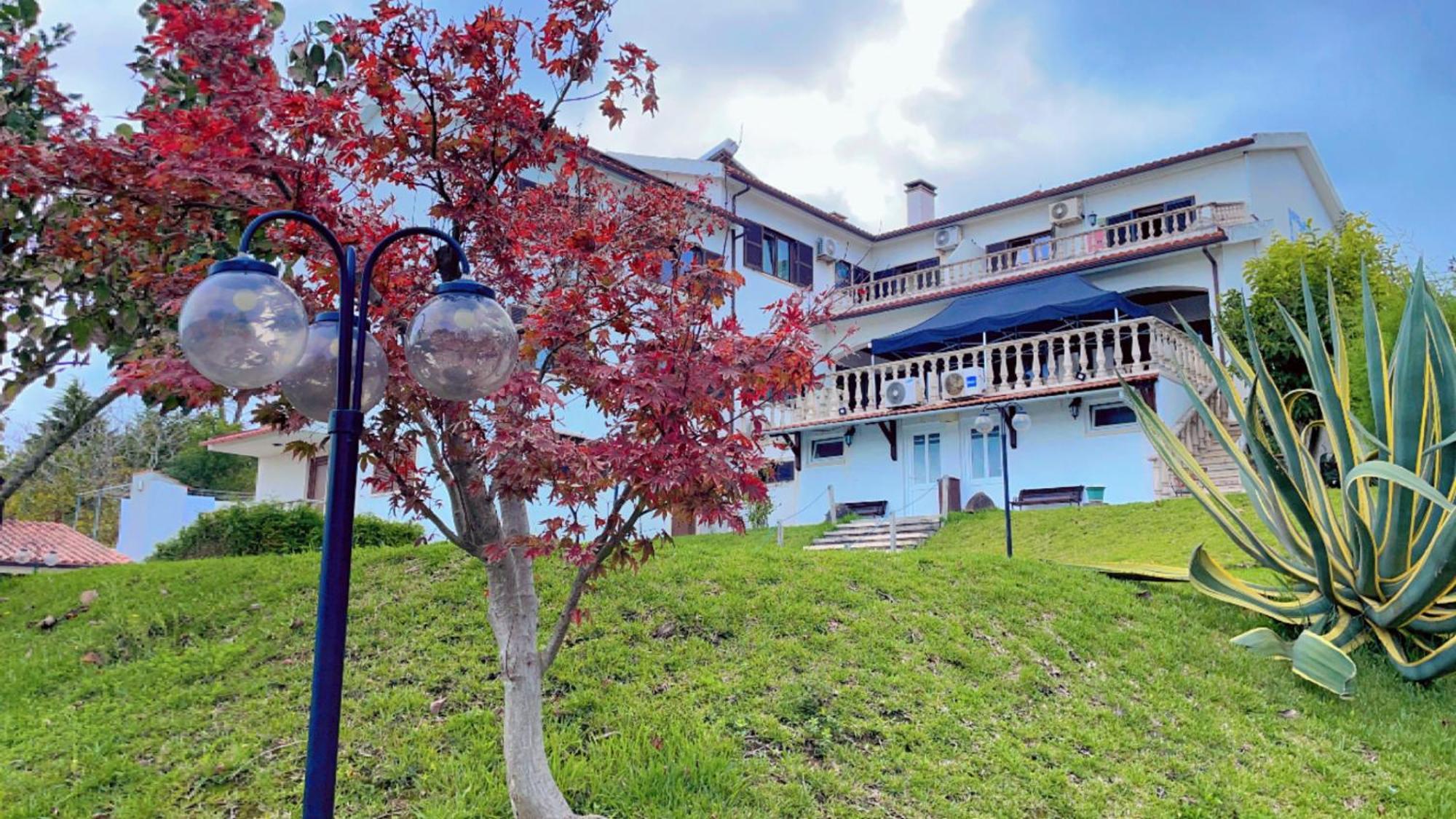 Jantesta Guest House Coimbra Dış mekan fotoğraf